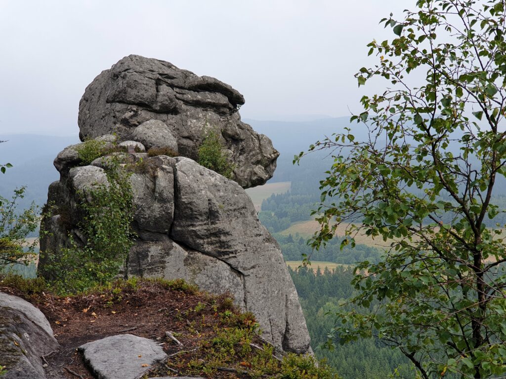 Monumentalna formacja skalna z piaskowca o kształcie Małpoluda w labiryncie na szczycie Szczelińca Wielkiego.