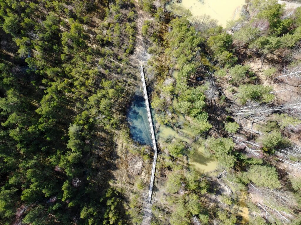 Widok z góry na wijącą się drewnianą kładkę w rezerwacie Gagaty Sołtykowskie, otoczoną gęstym lasem i rdzawą, gliniastą ziemią.
