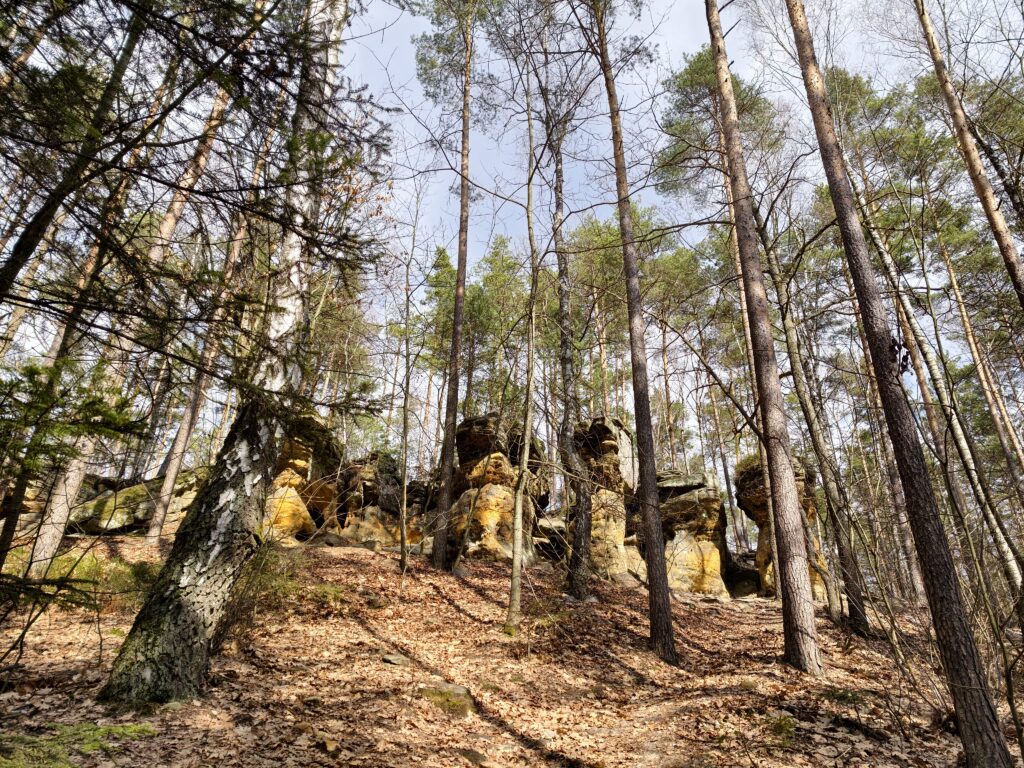 Rozległy widok na kilkumetrowe formacje piaskowcowe w rezerwacie Skałki Piekło pod Niekłaniem.