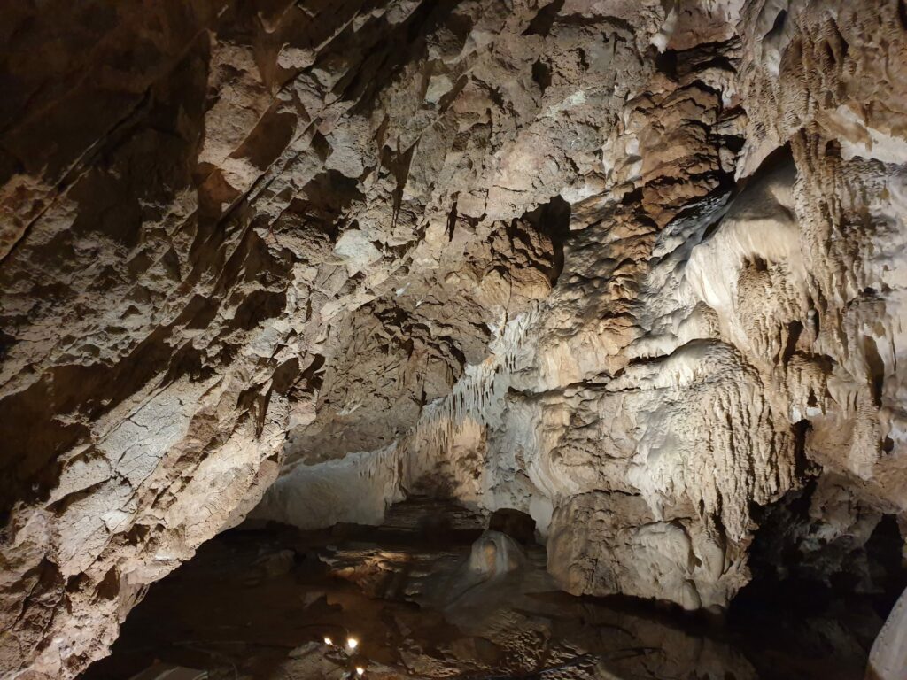 Gęsta sieć stalaktytów w Sali Stalaktytowej – unikalna szata naciekowa Jaskini Raj.