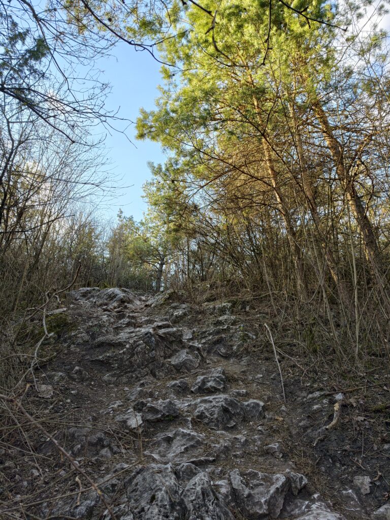 Węższa, kamienista ścieżka biegnąca wśród wapiennych skał na wyższym odcinku podejścia na Świętokrzyski Giewont.