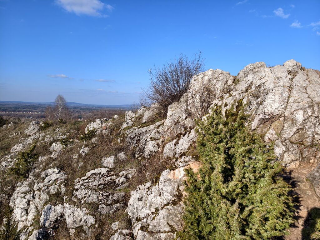 Surowy, zbudowany z jasnych wapieni kamienisty szczyt góry Miedzianka, będący głównym celem wędrówki szlakiem w Górach Świętokrzyskich.