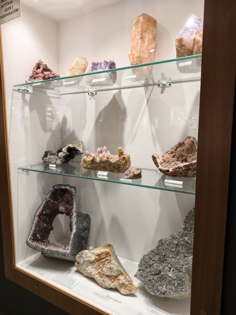 Bogata kolekcja eksponatów w Muzeum Minerałów i Skamieniałości w Świętej Katarzynie u podnóża Łysicy.
