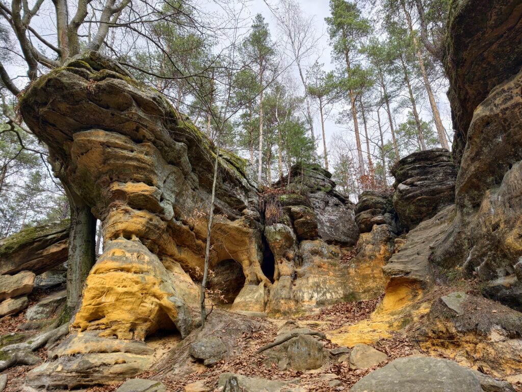 Rdzawe, żółte i pomarańczowe odcienie wysokich formacji skalnych z piaskowca w rezerwacie Skałki Piekło pod Niekłaniem, oświetlone słońcem.