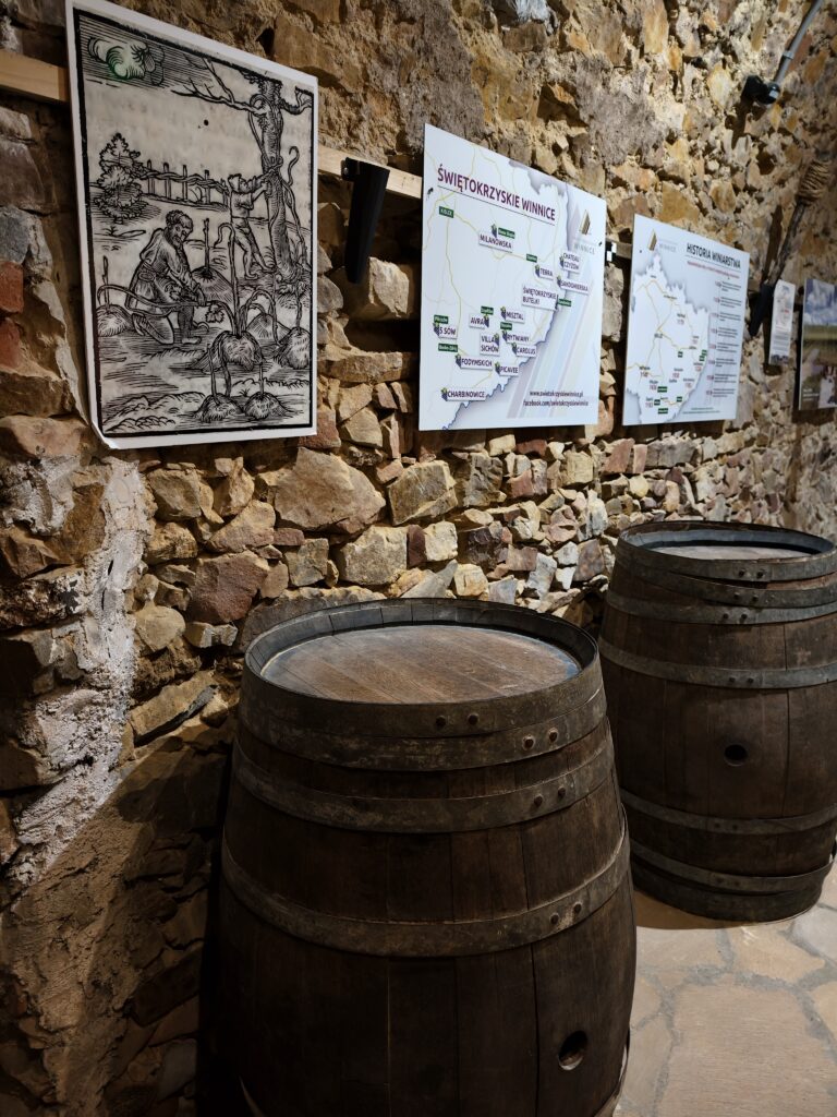 Sala wykuta w surowym, jasnym lessie na najniższym poziomie podziemnej trasy w Opatowie.