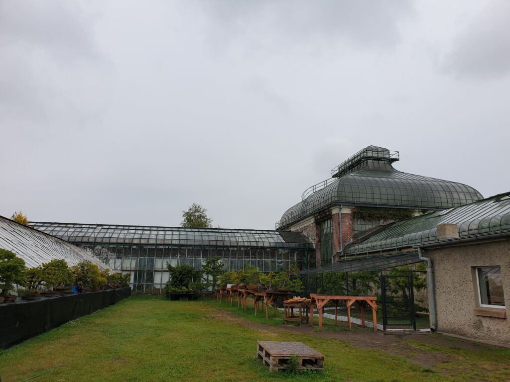 Szklarnie Palmiarni w Wałbrzychu z bujną egzotyczną roślinnością.