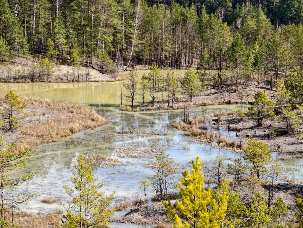 Widok ze wzniesienia na zalaną kopalnię gliny z rdzawoczerwonymi ścianami i ciemną wodą w rezerwacie Gagaty Sołtykowskie.