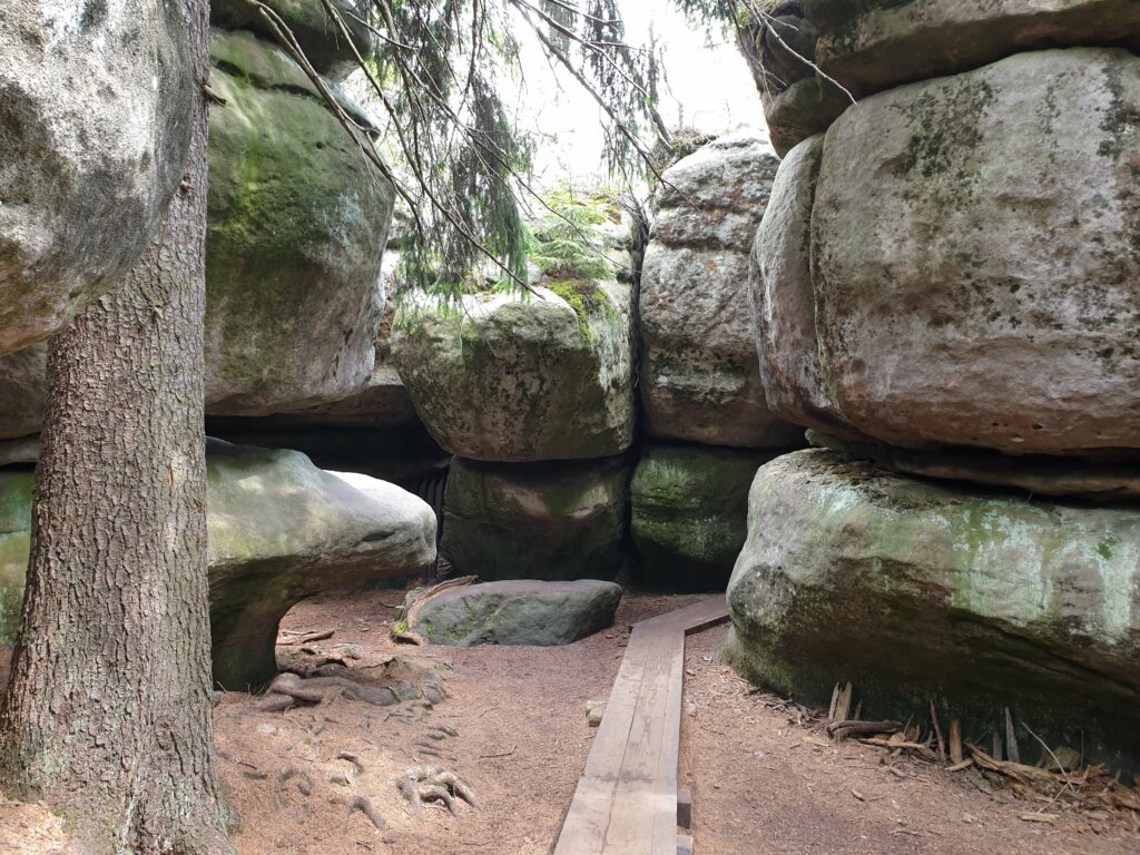 Perspektywa drewnianych pomostów wijących się przez skalne miasto Błędne Skały w Górach Stołowych.