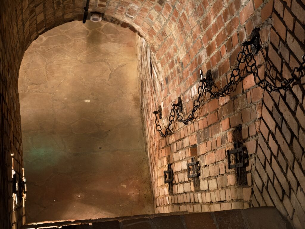 Oświetlone, wąskie korytarze wyżłobione w lessie na Podziemnej Trasie Turystycznej w Opatowie.