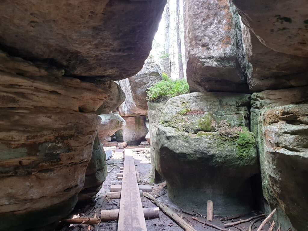 Wąski korytarz w labiryncie Błędne Skały z drewnianą kładką i wysokimi pionowymi ścianami z piaskowca.