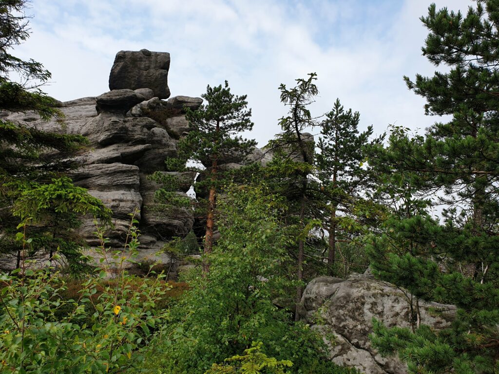 Wysokie, pionowe ściany skalne z piaskowca o wyraźnej, warstwowej strukturze w Parku Narodowym Gór Stołowych.
