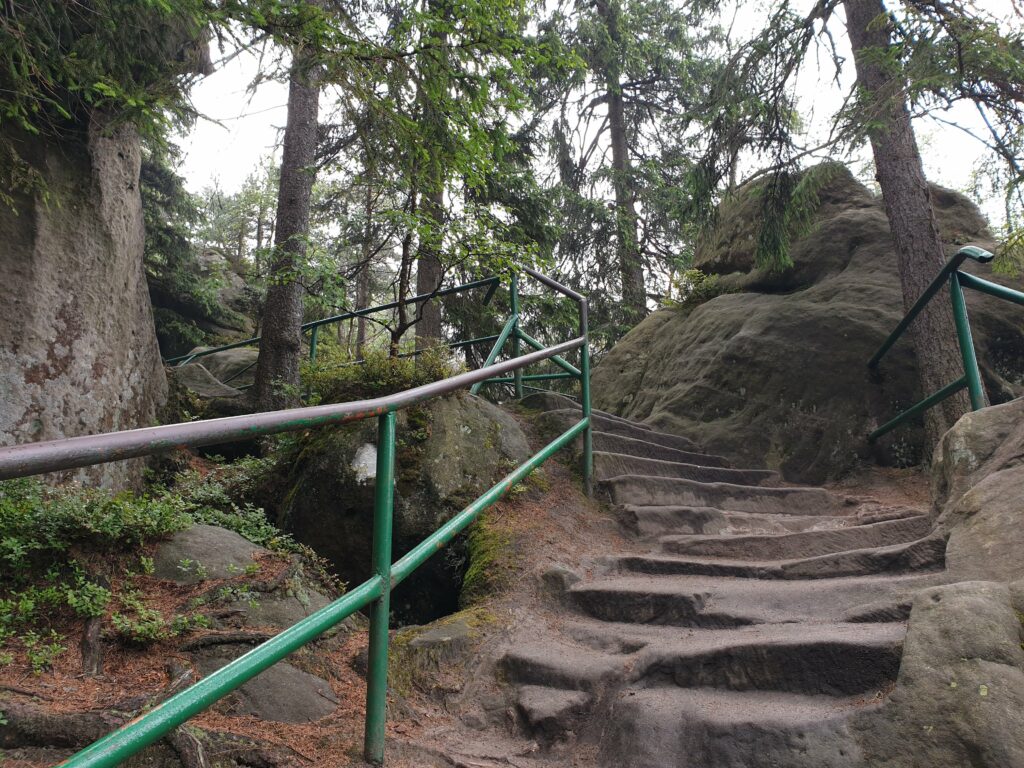 Spokojny żółty szlak turystyczny prowadzący przez gęsty las wśród wysokich formacji piaskowca w Górach Stołowych.