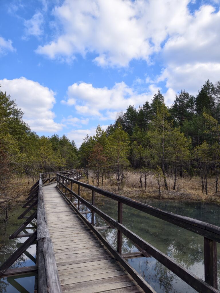 Rozlewisko i wilgotny teren leśny z rdzawą wodą, nad którym biegnie solidna kładka dla turystów w Gagatach Sołtykowskich.