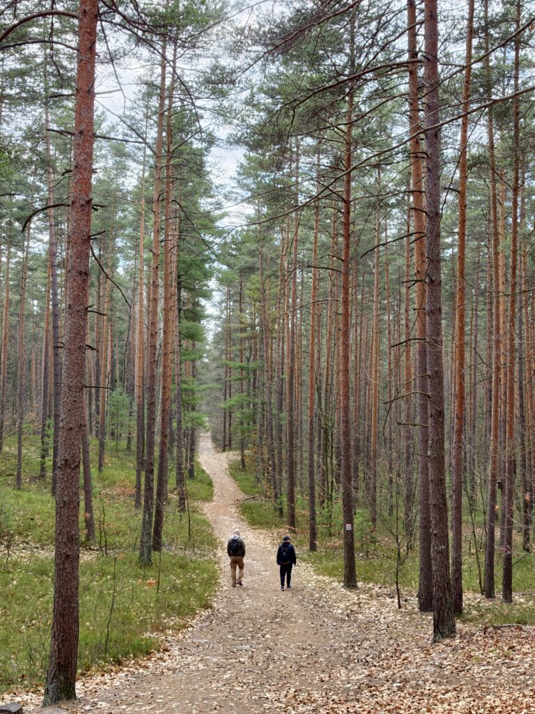 Wygodna, leśna ścieżka i oznaczony szlak turystyczny prowadzący do rezerwatu Skałki Piekło pod Niekłaniem w otoczeniu wysokich drzew i dwóch turystów na szlaku.
