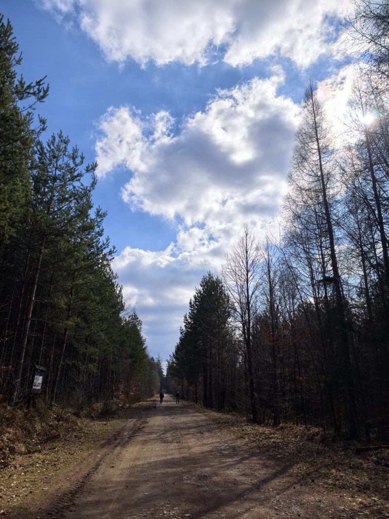 Szeroka, piaszczysta droga leśna prowadząca czerwonym i niebieskim szlakiem do Skałek Piekło pod Niekłaniem.