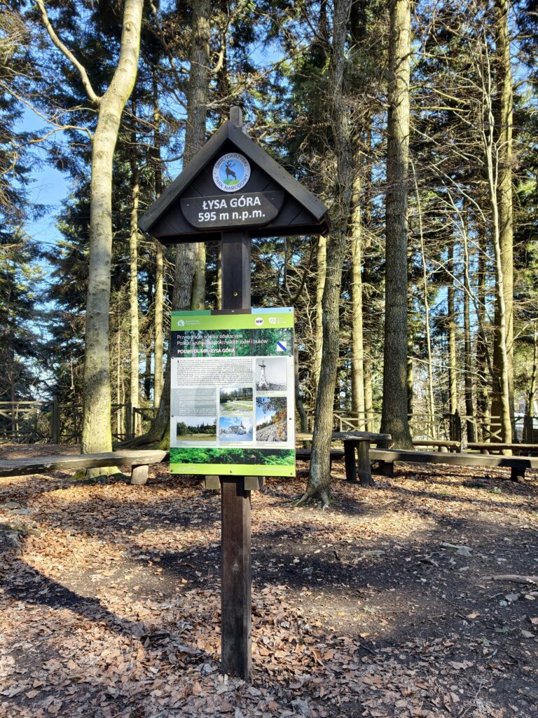Drewniana tablica informacyjna oznaczająca szczyt Łysej Góry (Święty Krzyż) na wysokości 595 m n.p.m. w Świętokrzyskim Parku Narodowym.