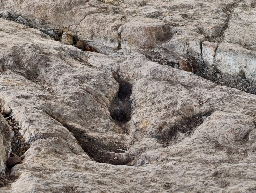 Zbliżenie na wyraźny, trójpalczasty odcisk łapy dinozaura teropoda zachowany w jurajskiej skale w rezerwacie Gagaty Sołtykowskie.