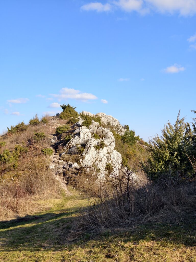 Jeden z trzech wapiennych, skalistych wierzchołków góry Miedzianka, potocznie nazywanej Świętokrzyskim Giewontem, widoczny z żółtego szlaku turystycznego.