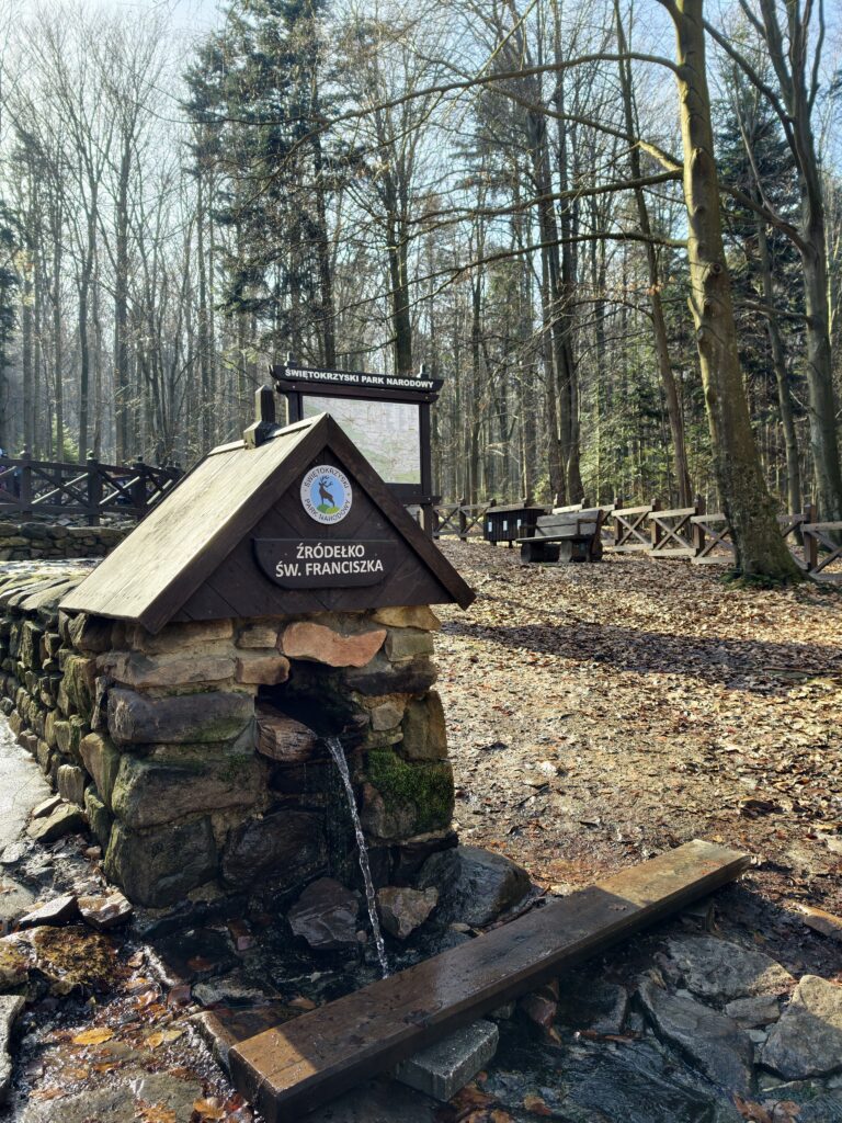 Ujęcie krystalicznej wody ze Źródełka św. Franciszka przy czerwonym szlaku na Łysicę w Górach Świętokrzyskich.