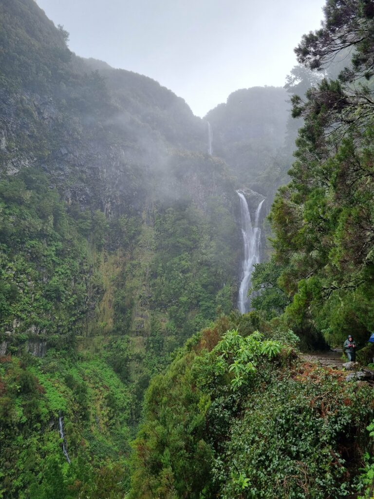 Majestatyczny wodospad Cascata do Risco widoczny z oddali, wyłaniający się spośród gęstych gałęzi i bujnej zieleni lasu wawrzynolistnego w dolinie Rabaçal.