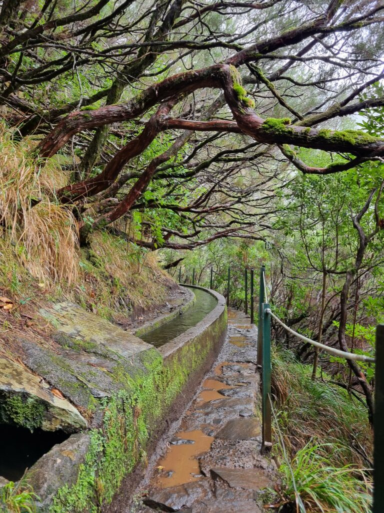 Wąski kanał nawadniający wykuty w stromej, wulkanicznej skale na trasie trekkingu PR6 Levada das 25 Fontes.