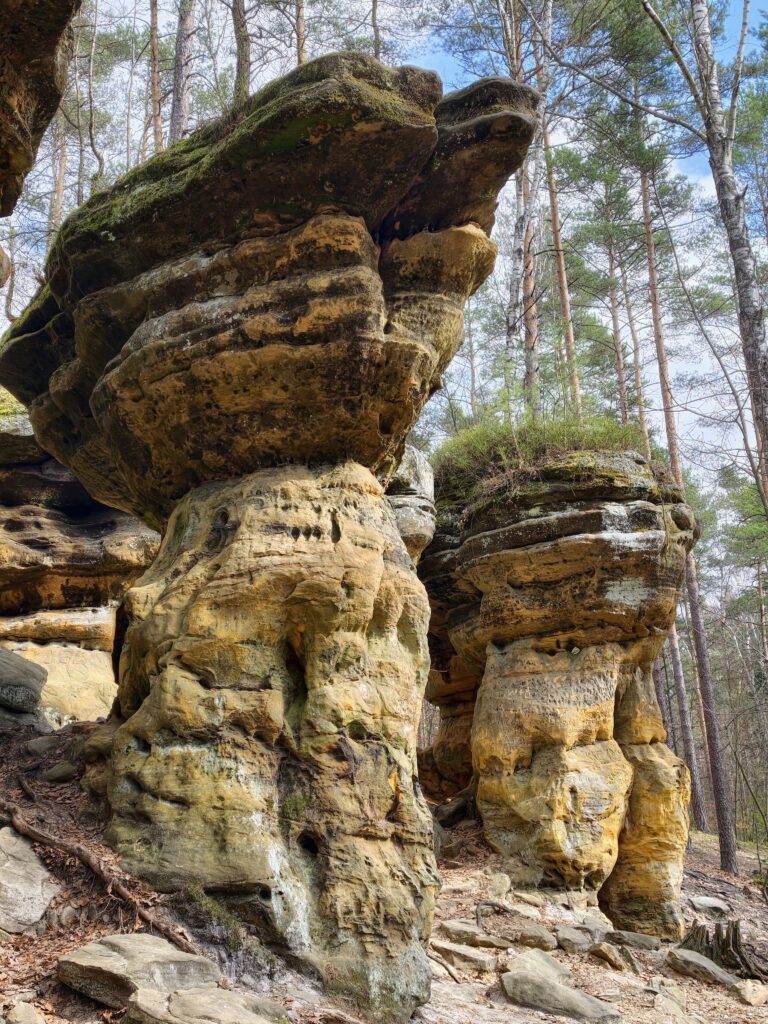 Strzelisty komin skalny wyrastający z dna lasu w rezerwacie Piekło pod Niekłaniem.