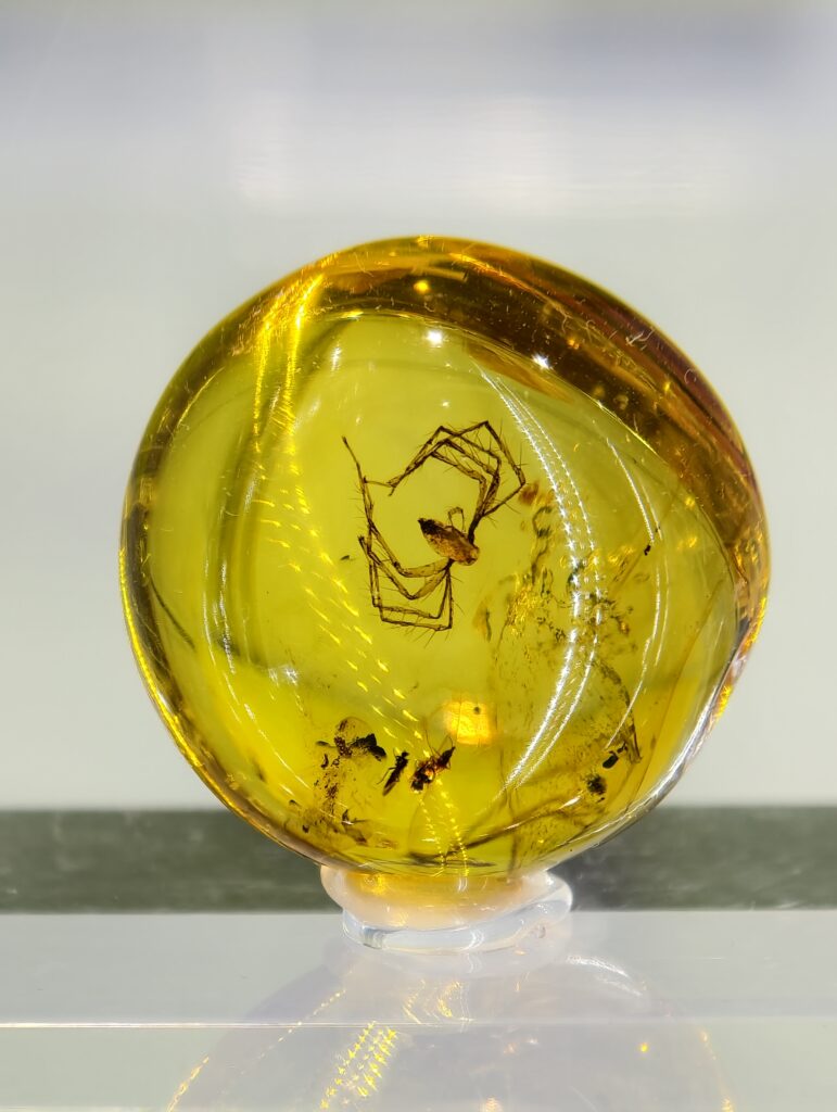 Zbliżenie na bryłkę bursztynu wyeksponowaną w Muzeum Minerałów w Świętej Katarzynie.