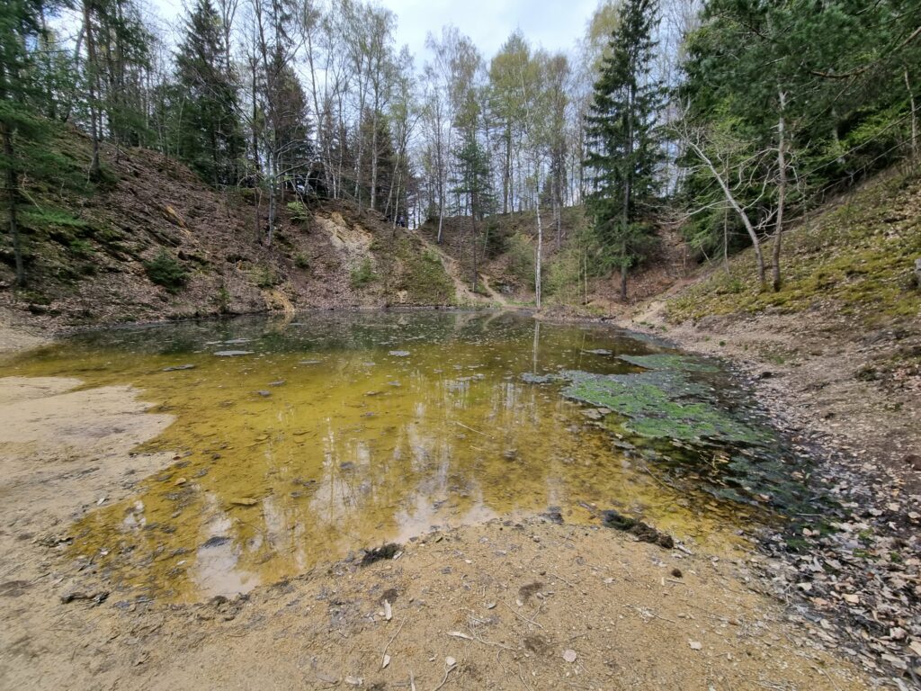 Żółte Jeziorko i otaczający je las na początku zielonego szlaku w Rudawskim Parku Krajobrazowym.
