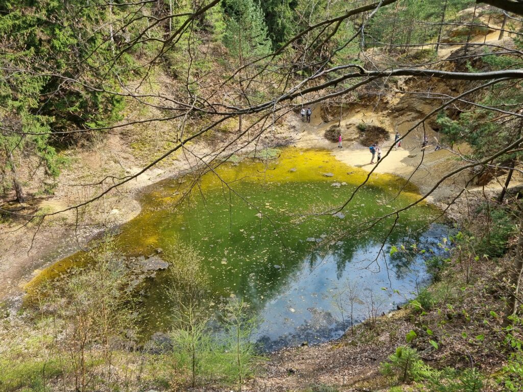 Żółte Jeziorko na początku zielonego szlaku w Rudawskim Parku Krajobrazowym.