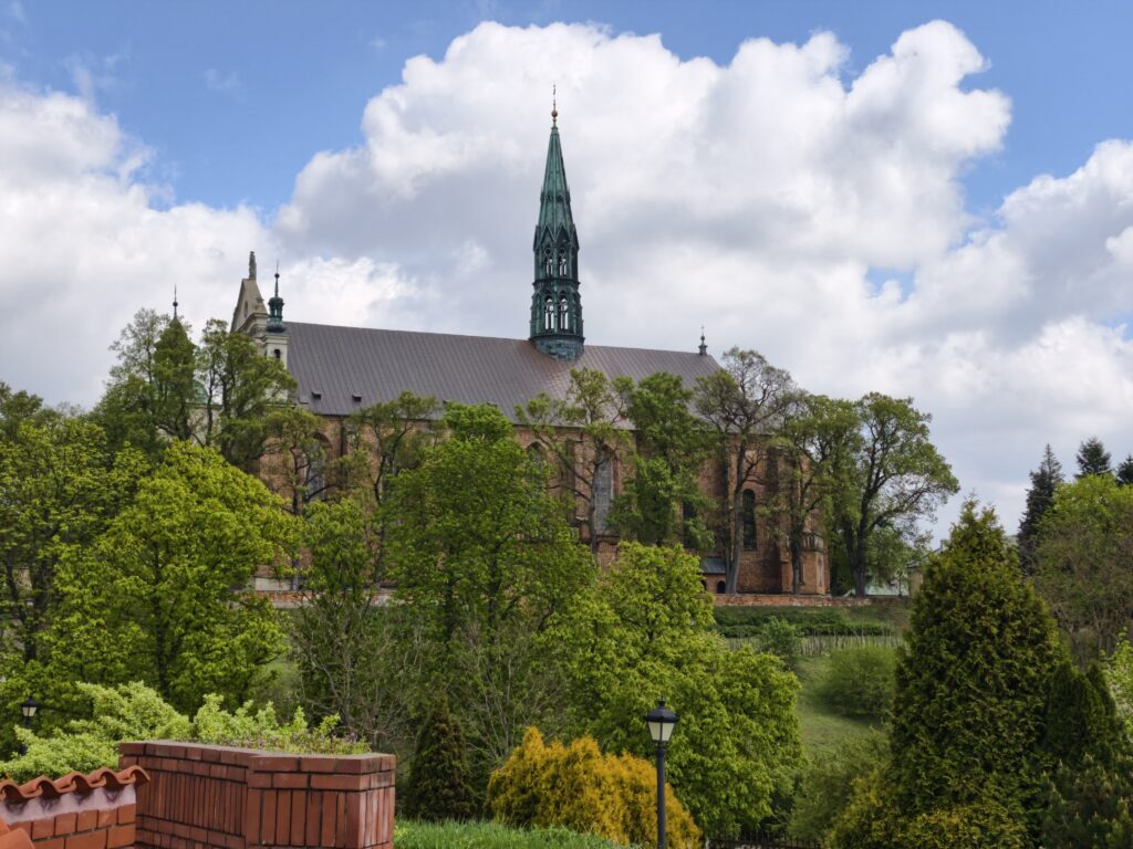 Strzelista, gotycka fasada z czerwonej cegły Bazyliki katedralnej w Sandomierzu na tle błękitnego nieba i drzew.