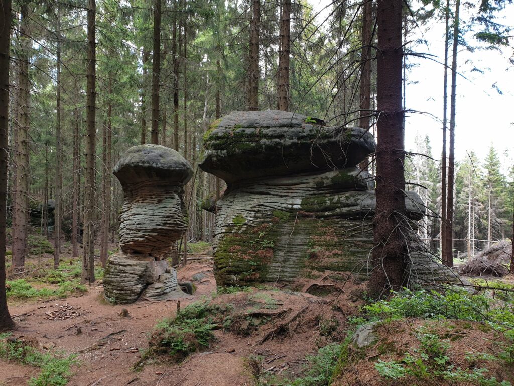 Zbliżenie na ogromne skały z wąskim trzonem i szerokim kapeluszem, na trasie w Górach Stołowych.