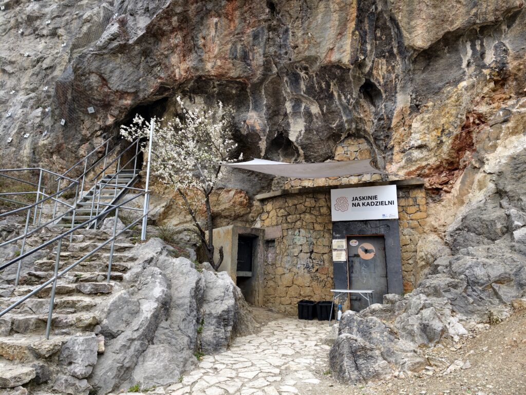 Wejście do wapiennej jaskini na Kadzielni