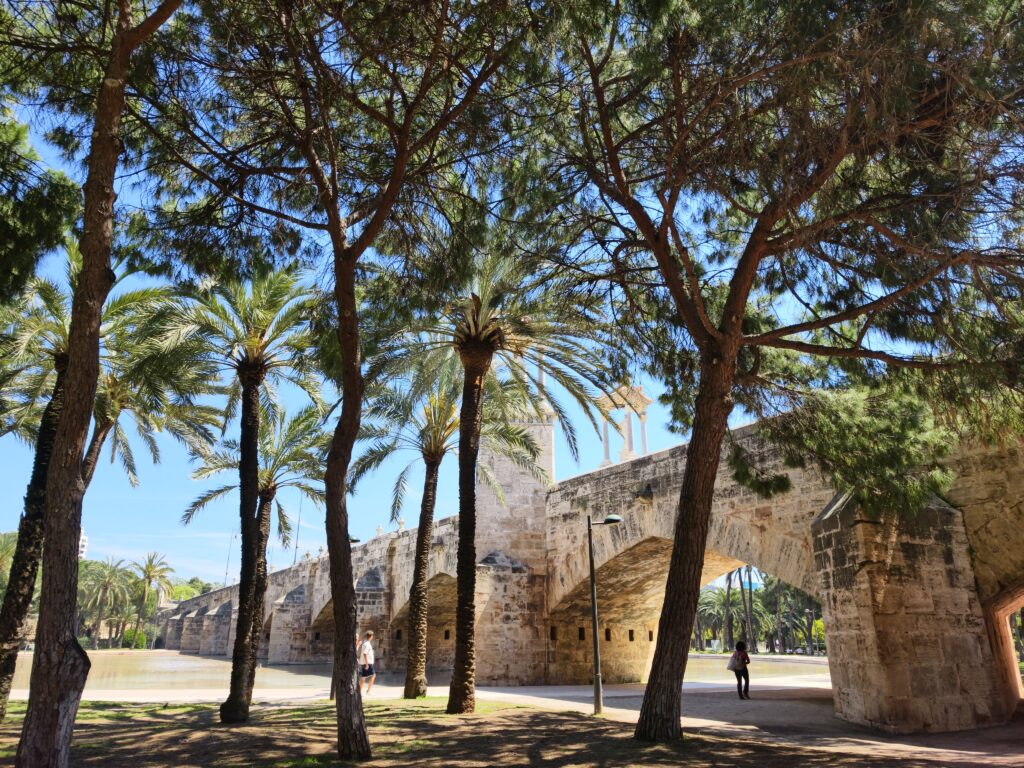 Rozległe, zielone tereny rekreacyjne w parku Jardín del Turia w Walencji z szerokimi ścieżkami, rzędami palm, trawnikami i mostami.