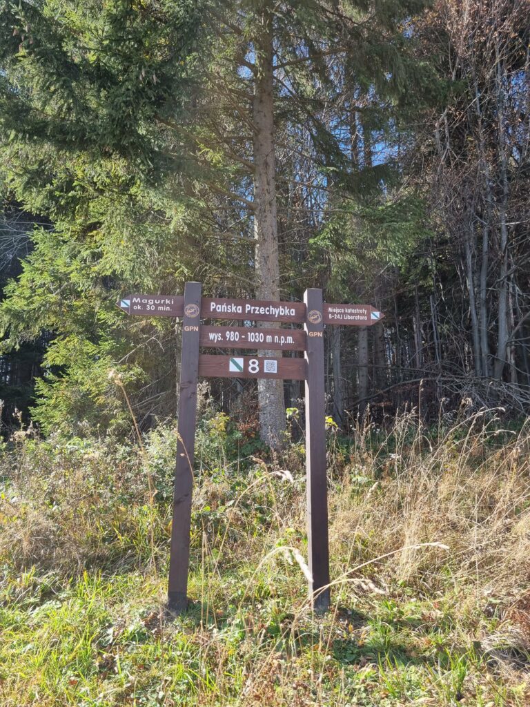 Tablica informacyjna gorczańskiej ścieżki edukacyjnej przy wąskiej ścieżce pnącej się stromo przez gęsty, iglasty las.