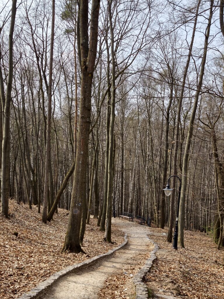 Wybrukowana ścieżka spacerowa prowadząca pod górę na dziedziniec Zamku w Chęcinach