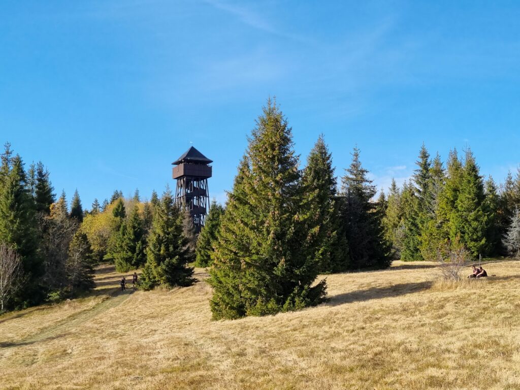 Rozległa, trawiasta polana szczytowa na Magurkach z widoczną w oddali drewnianą wieżą widokową.
