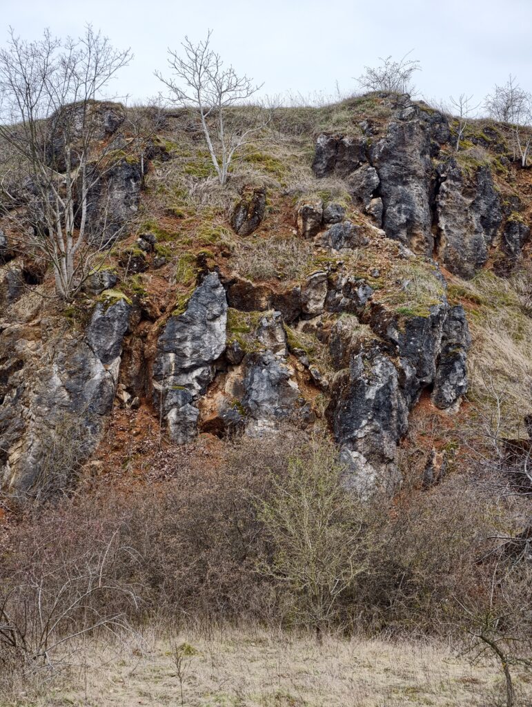 Pionowa ściana skalna o kolorowej barwie w Rezerwacie Wietrznia w Kielcach