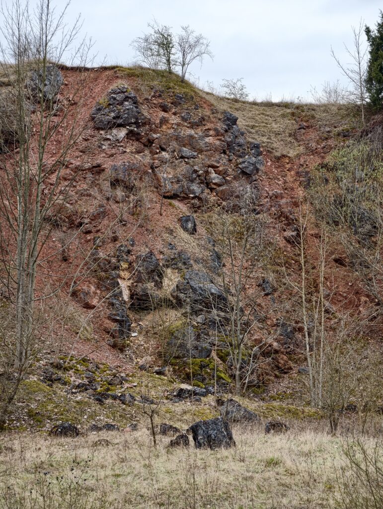 Pionowa ściana skalna o rdzawej barwie w Rezerwacie Wietrznia w Kielcach