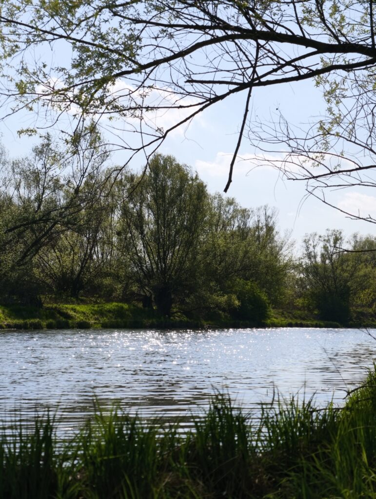 Błyszcząca w słońcu tafla rzeki Wisły otoczona bujną, zieloną roślinnością, widok z dolnych partii Gór Pieprzowych.