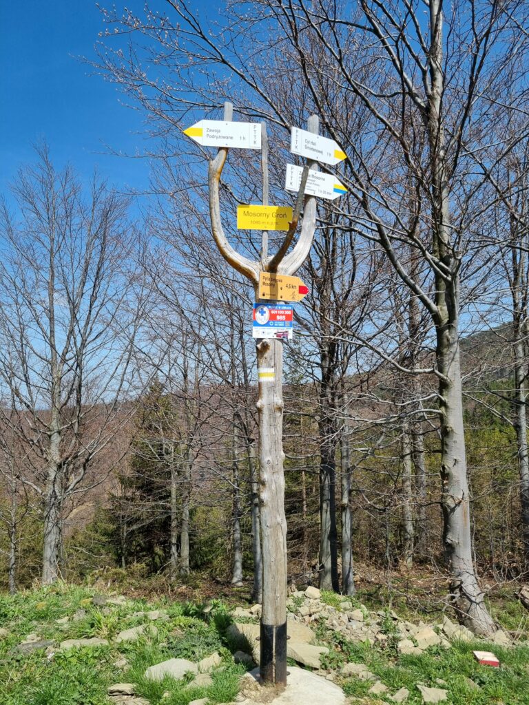 Drewniana turystyczna tabliczka z nazwą szczytu Mosorny Groń i oznaczeniem wysokości 1047 m n.p.m.