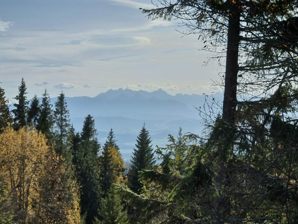 Ośnieżone wierzchołki Tatr górujące nad horyzontem, wyraźnie widoczne z punktu widokowego na Magurkach.