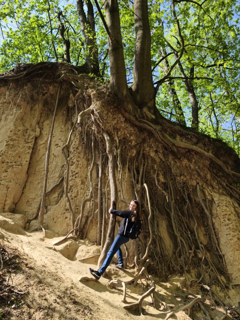 Uśmiechnięta turystka trzymająca się potężnych, obnażonych korzeni drzewa na stromej ścianie Wąwozu Królowej Jadwigi.