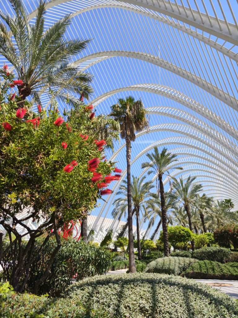 Nowoczesna konstrukcja El Umbracle w Walencji z charakterystycznymi białymi łukami i palmami na tle błękitnego nieba.