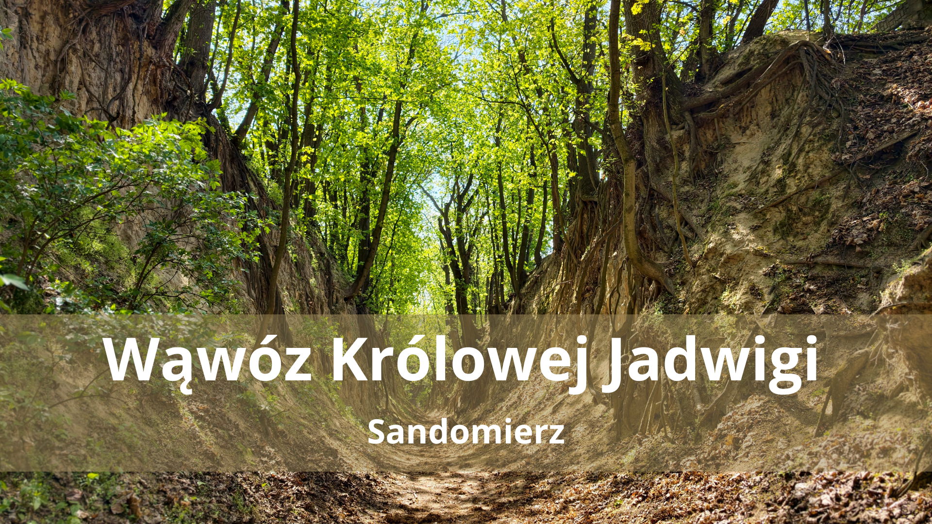 Wąwóz Królowej Jadwigi – Baśniowy cud natury w sercu Sandomierza