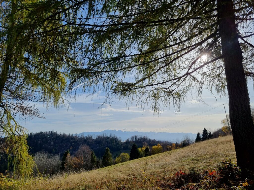 Malowniczy widok na pobliskie góry i doliny podziwiany bezpośrednio z trawiastej polany na szczycie Magurek.