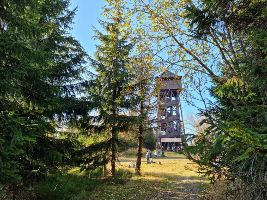 Drewniana, potężna wieża widokowa z zadaszonym tarasem, stojąca na słonecznej polanie na szczycie Magurek.