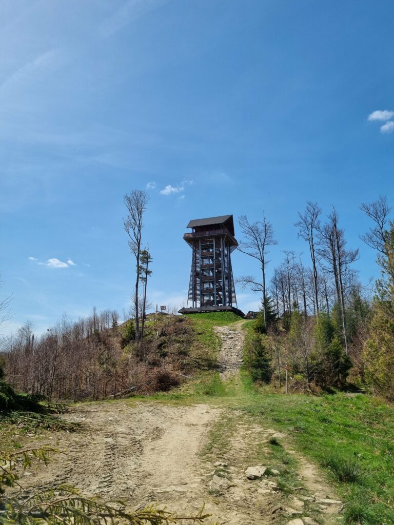 Drewniana, wysoka wieża widokowa stojąca na szczycie Mosornego Gronia na tle błękitnego nieba.