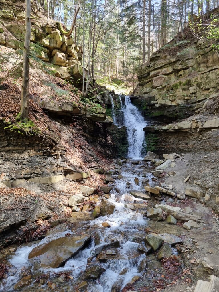 Kaskada wody spadająca z progu skalnego, czyli Wodospad na Mosornym Potoku w otoczeniu leśnej zieleni w Zawoi.