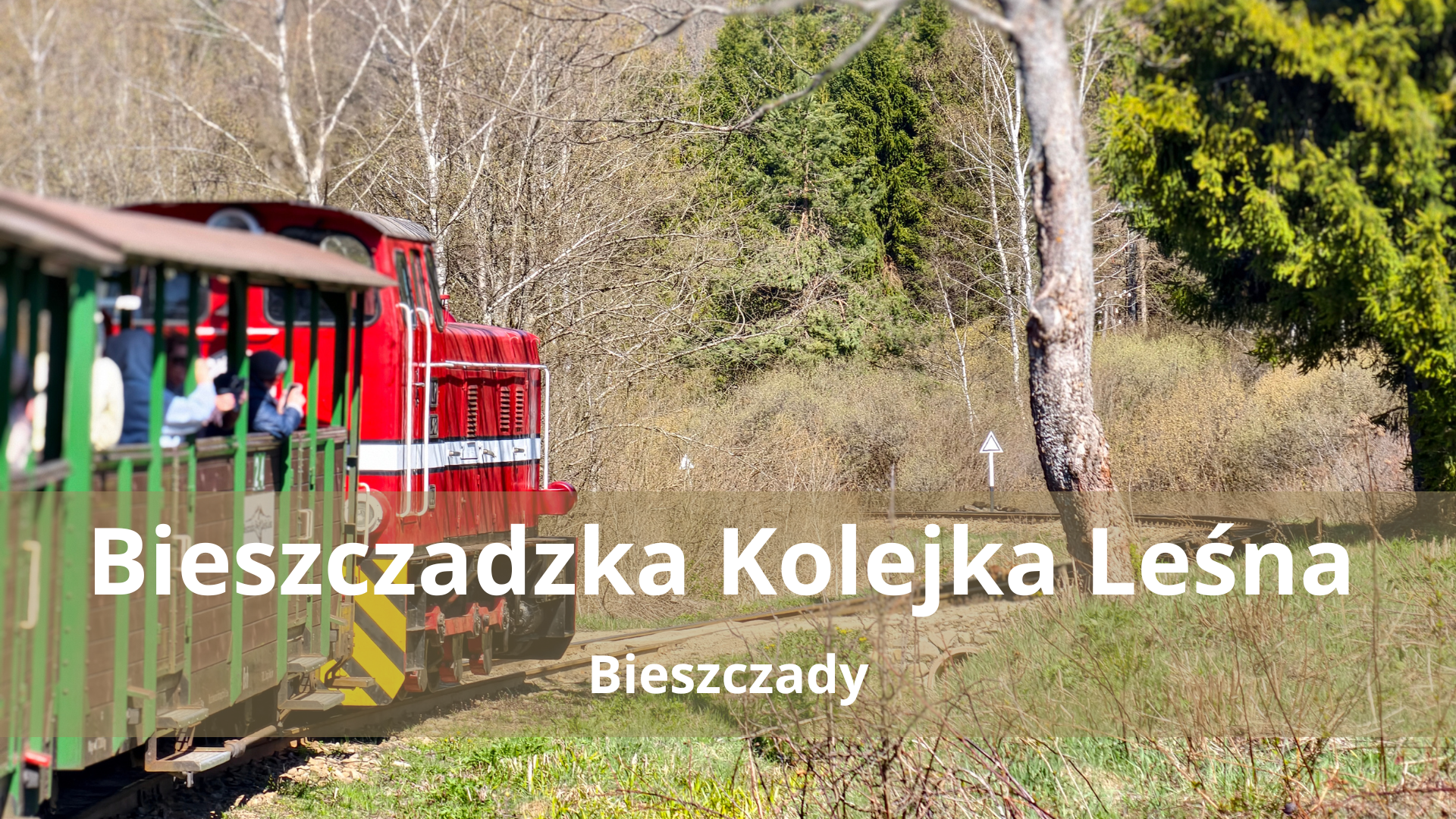 Bieszczadzka Kolejka Leśna – Przewodnik po najsłynniejszym pociągu w górach
