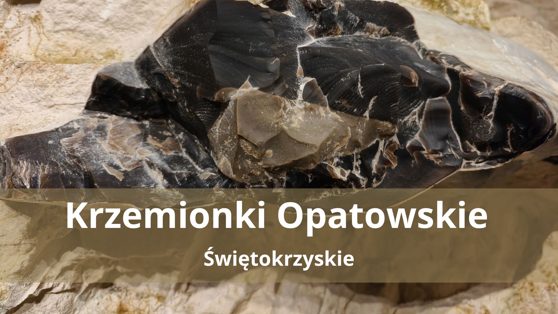 Krzemionki Opatowskie – Neolityczne kopalnie, które zachwyciły cały świat